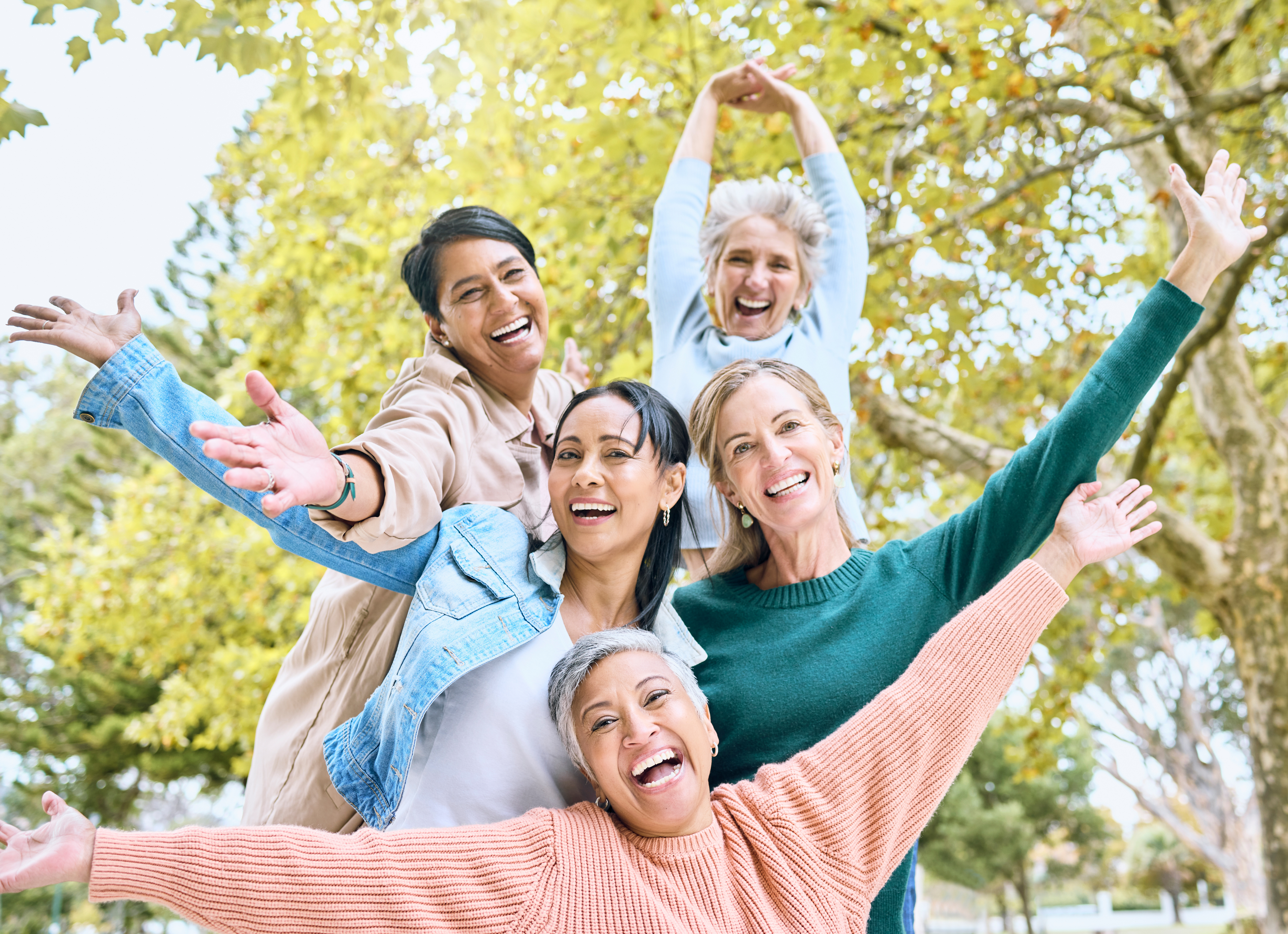 Senior Retirement Portrait And Hands Up In Fun Ga 2023 11 27 04 52 49 Utc